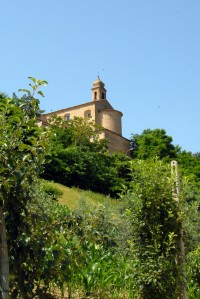 Scocio dalla campagna belmontese, sullo sfondo la Chiesa di  S. Salvatore.